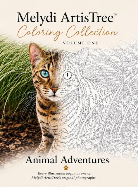Melydi Artistree Coloring Collection - Volume One: Animal Adventures